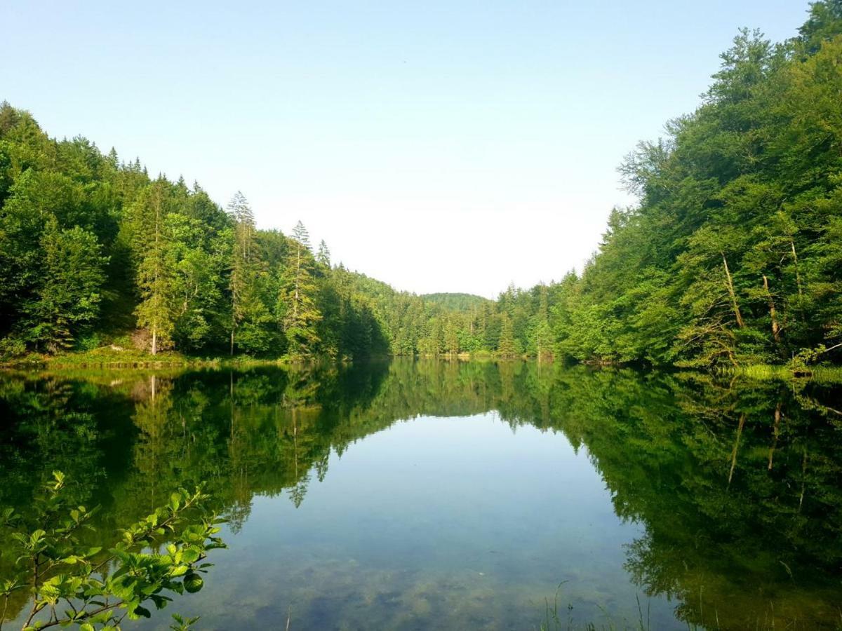 Villa Natali Donji Babin Potok Экстерьер фото